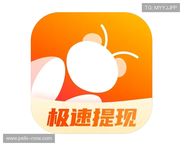 玩球波胆全包怎么打避坑指南极速提现秘诀