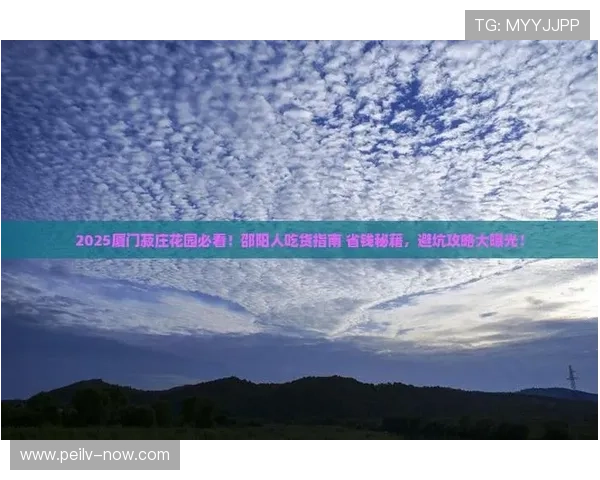 玩球返水怎么算避坑指南数字高频玩法防骗
