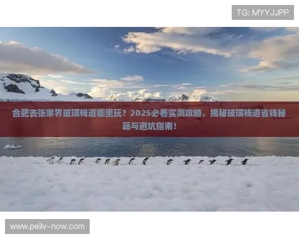 玩球大小分怎么买避坑指南极速提现秘籍